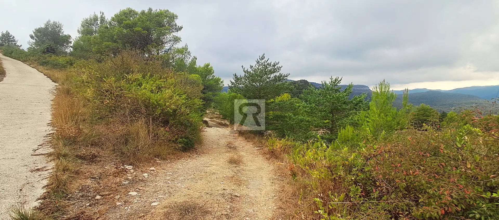Terrain rustique à vendre à Coroneta 30, imagen 21