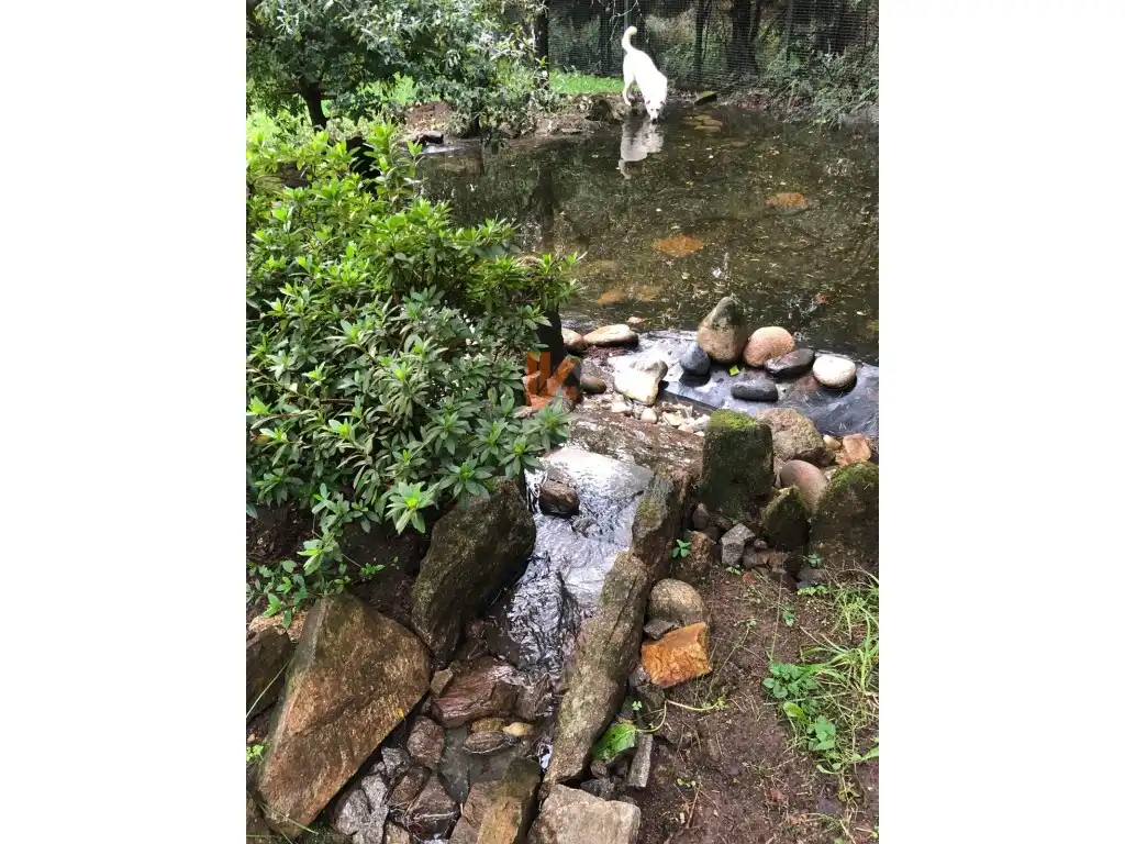 Jardí de Casa o xalet en venda en Ames