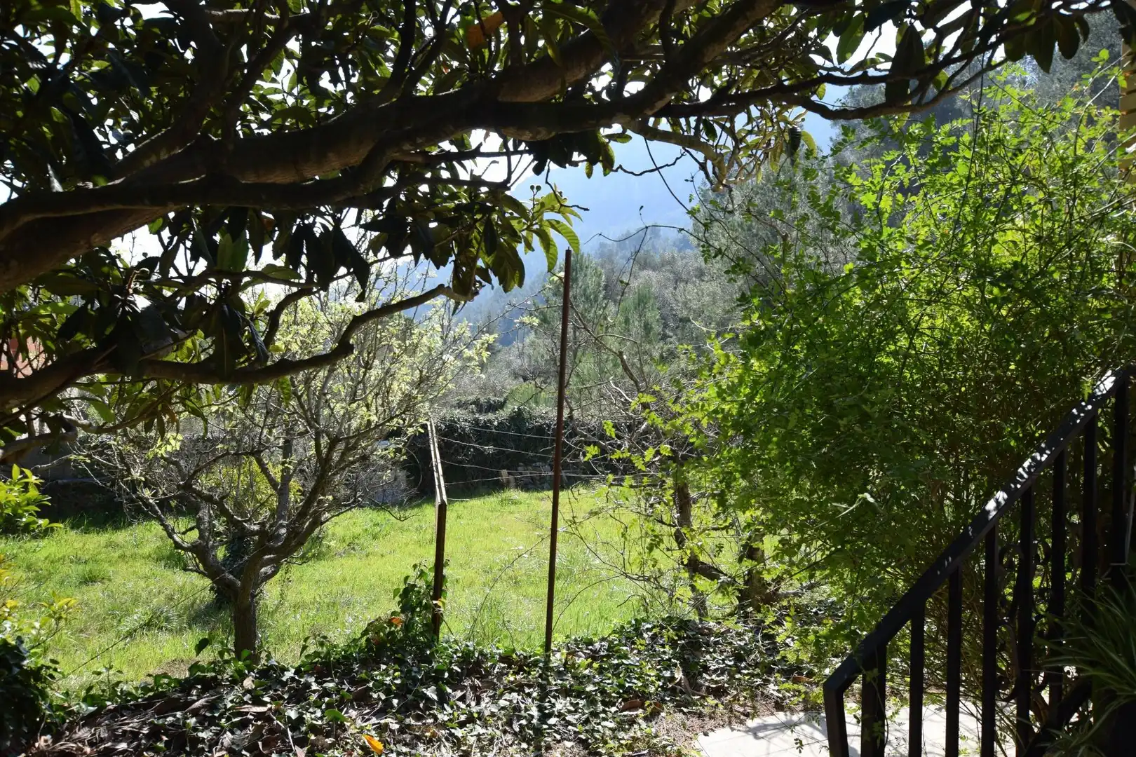 Jardí de Casa o xalet en venda en Alfara de Carles amb Terrassa, Traster i Piscina