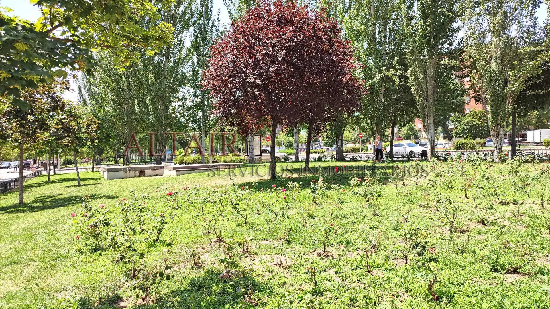 Piso de alquiler en Avenida de Orovilla, Los Rosales