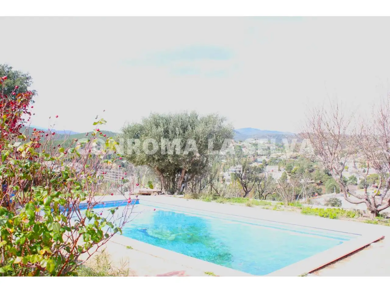 House with pool for sale in Calle Romaní, imagen 8