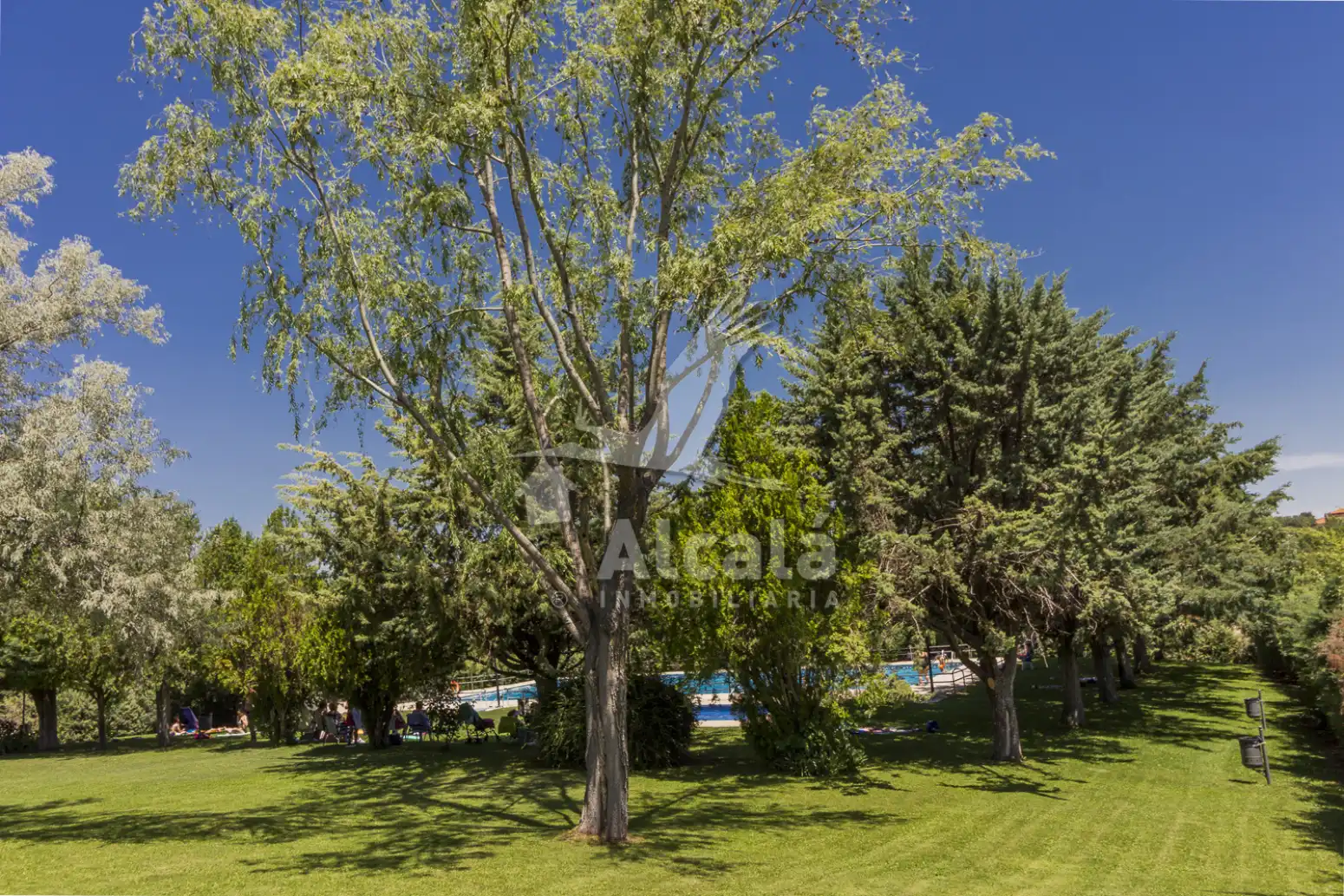 Terrenos y solares en venta en Hontoba, imagen 36
