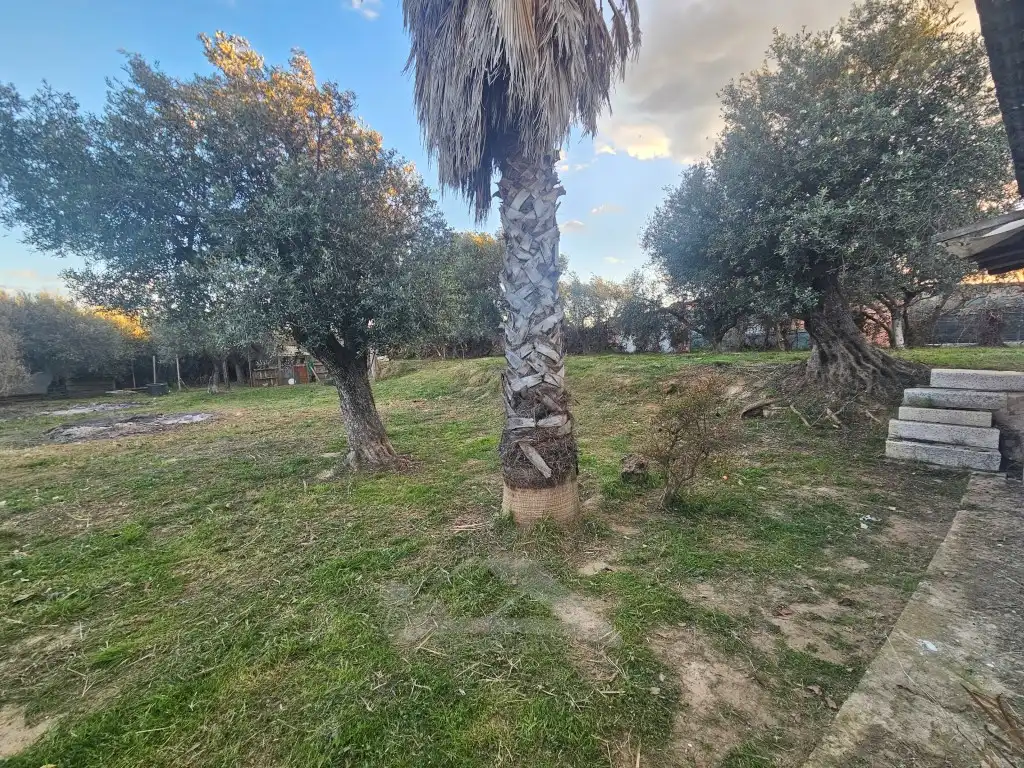 Finca rústica en venta en Cambrils