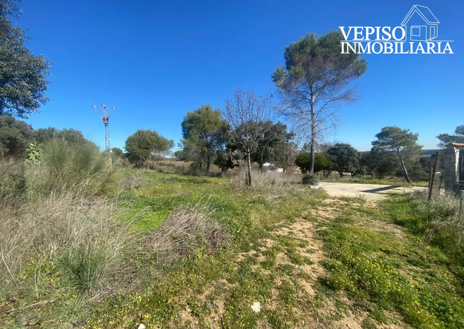 Finca rústica en venda a Vial Camino, 1, Aldea del Fresno