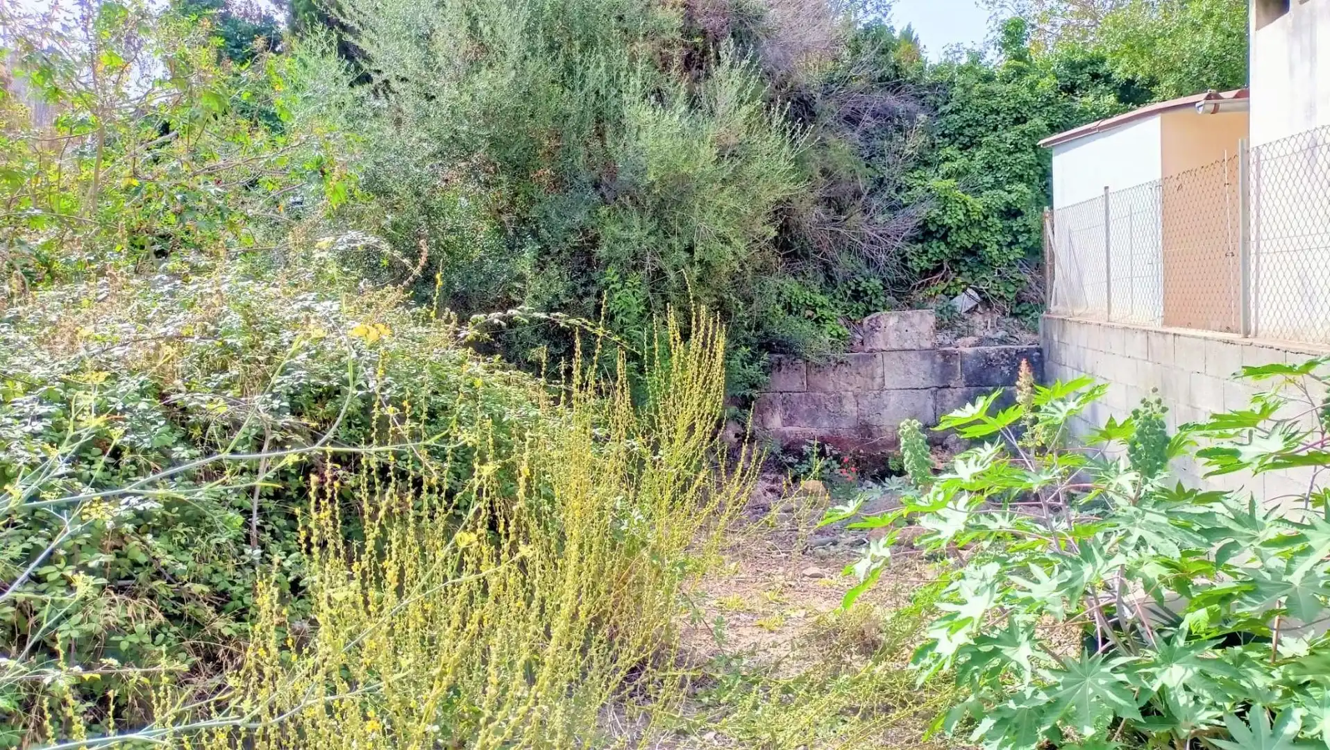 Terrenys i solars en venda a Muro, imagen 9