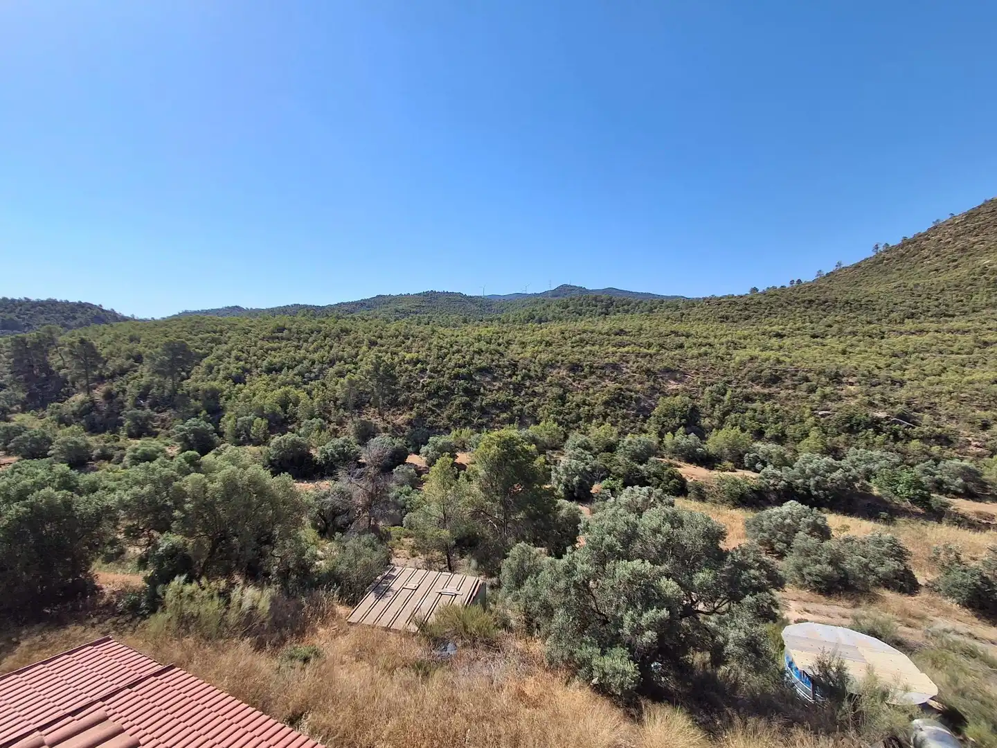 Finca rústica en venda en Riba-roja d'Ebre