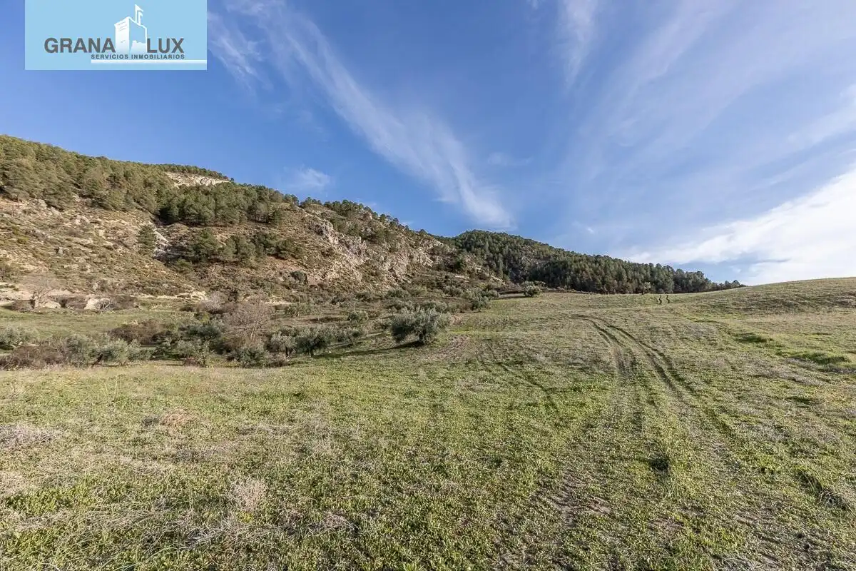 Rustikales Grundstück zum Verkauf in Monachil pueblo, imagen 12