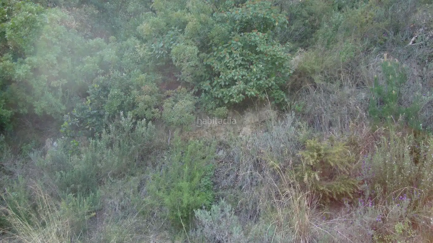 Wohnbaugrundstück zum Verkauf in Sant Cebrià de Vallalta
