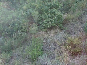 Wohnbaugrundstück zum Verkauf in Sant Cebrià de Vallalta