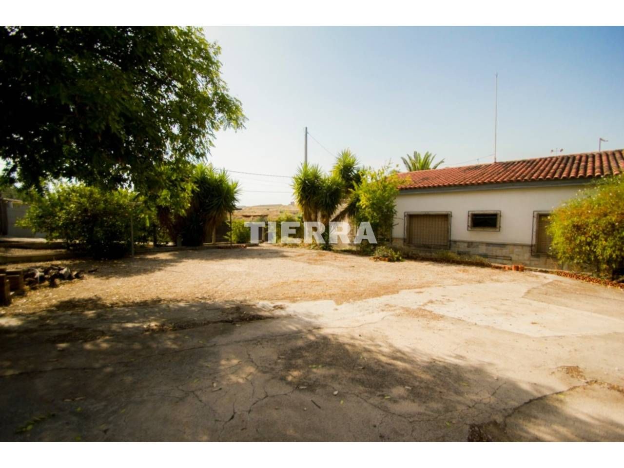 Exterior view of Houses for sale in Molina de Segura  with Private garden, Terrace and Swimming Pool