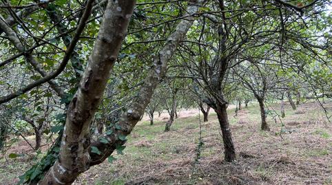 Photo 4 of House or chalet for sale in Mañón, A Coruña