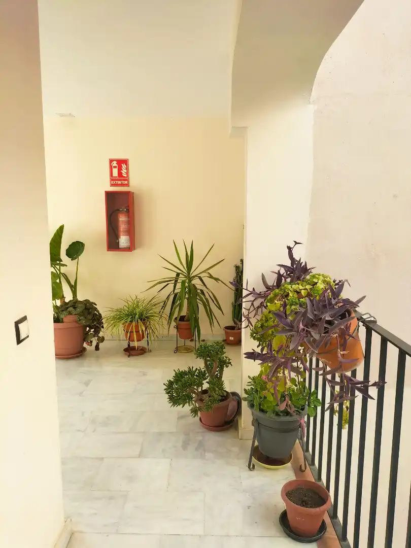Appartement avec terrasse à vendre à Avenida España 5
