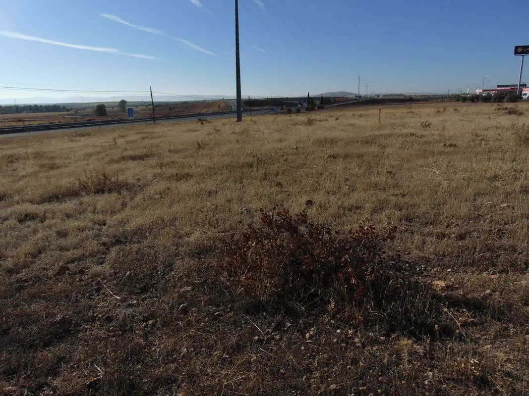 Terreno rustico in vendita a Valdepeñas, imagen 5