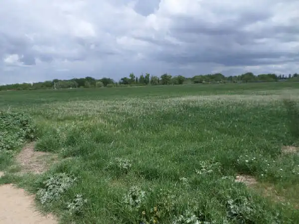 Rustikales Grundstück zum Verkauf in Sector 25, imagen 10