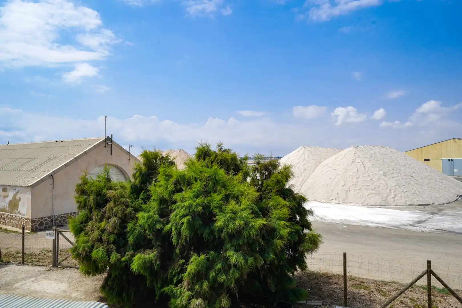 Business premises for sale in San Pedro del Pinatar, imagen 76