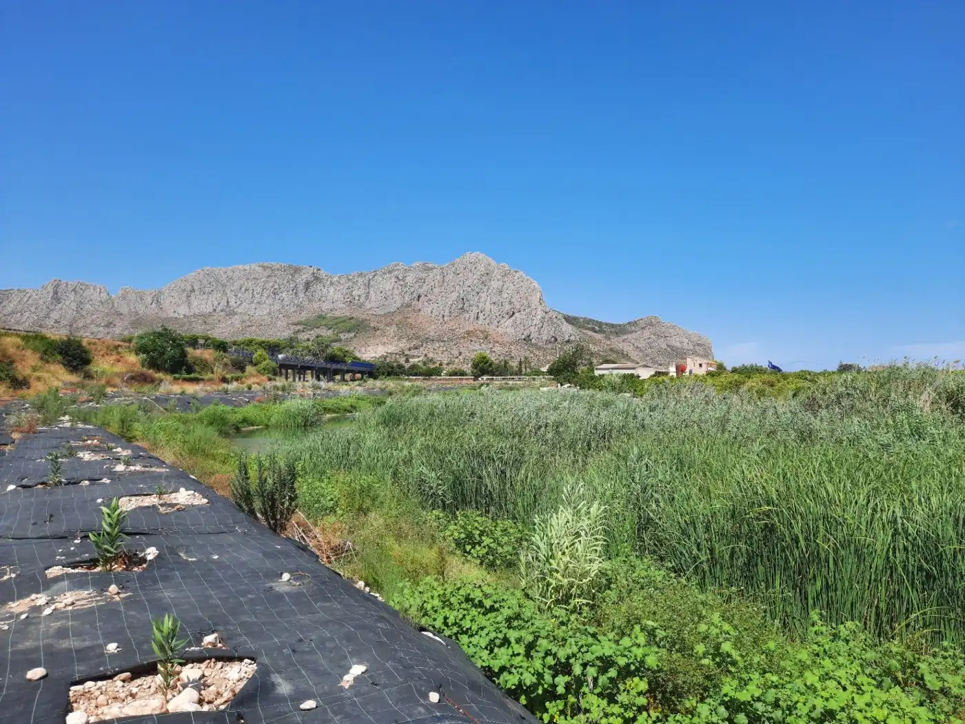 Vista exterior de Finca rústica en venta en Ondara con Aire acondicionado, Calefacción y Jardín privado