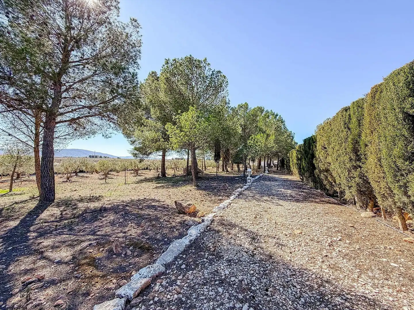Casa rústica en venta en El Pinós / Pinoso, imagen 47