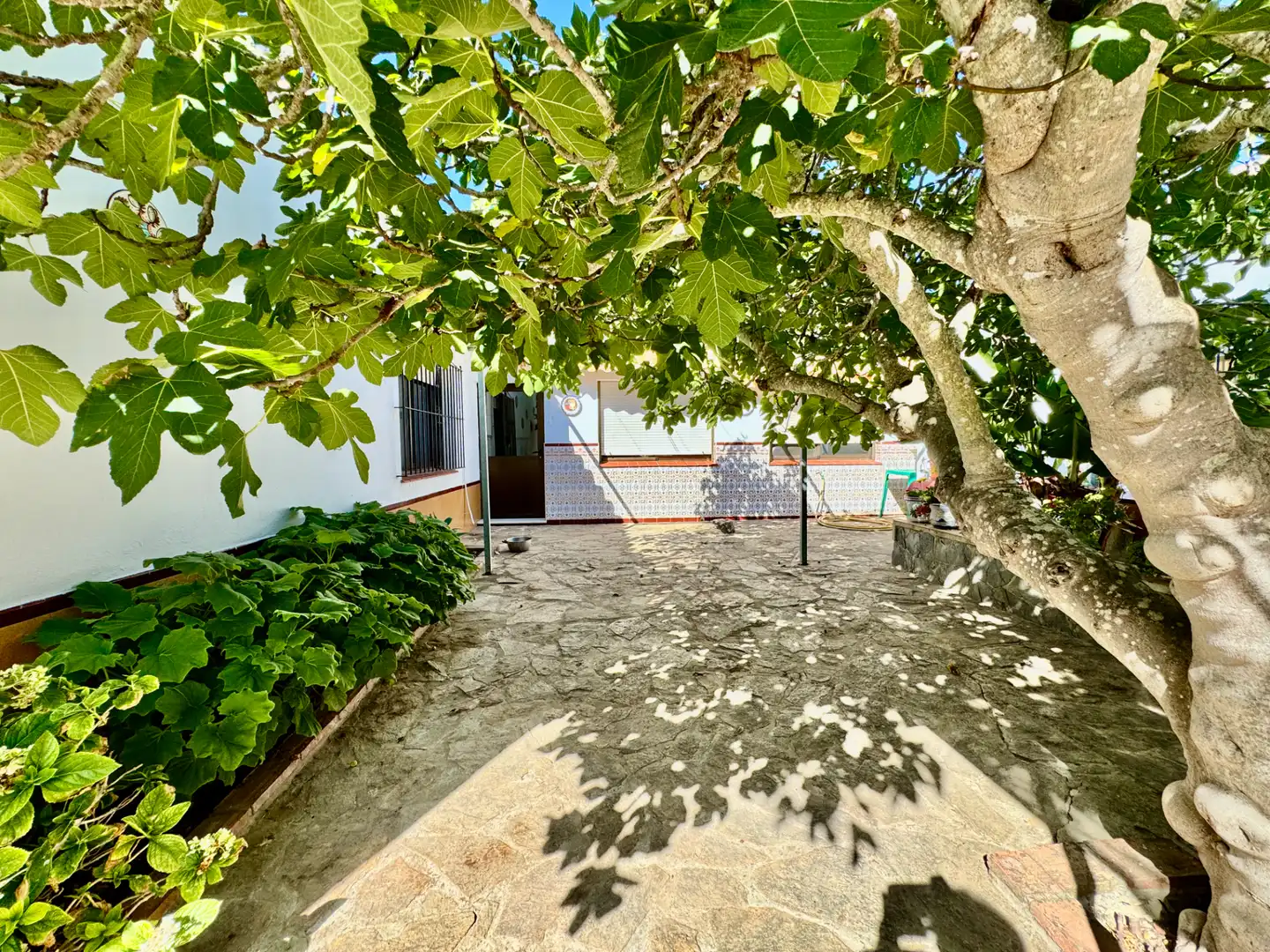 Chalet con piscina en venta en Pelagatos - Pago del Humo, imagen 10