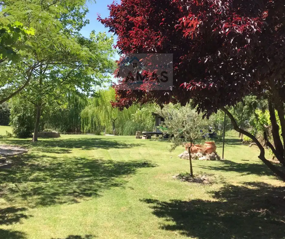 Jardí de Finca rústica en venda en Belvís de Monroy amb Aire condicionat, Jardí privat i Piscina
