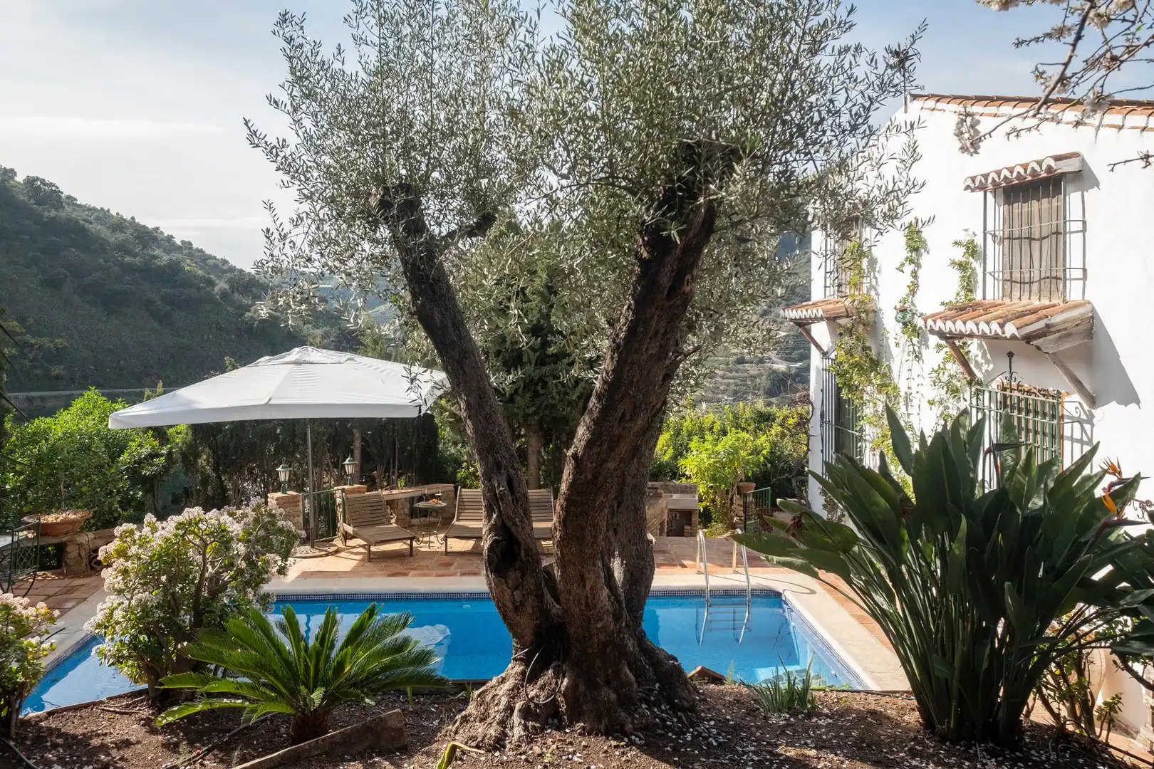 Casa con terrazza in vendita a Sayalonga, imagen 46