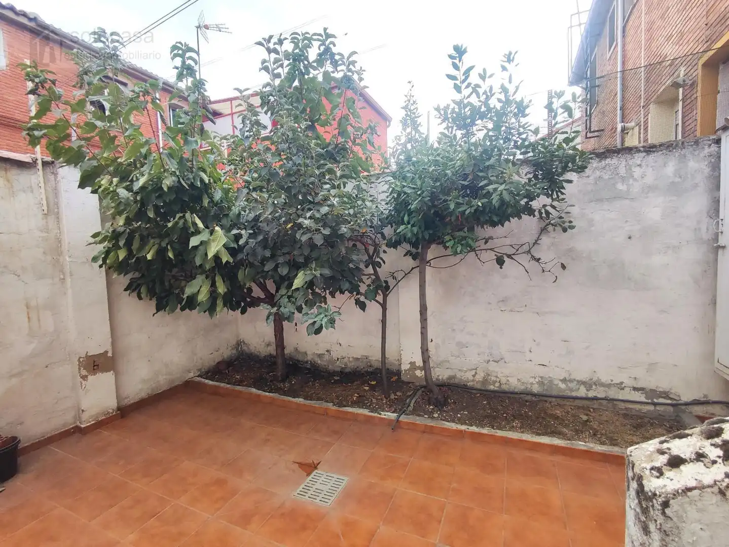 House with garden for sale in ENRIQUE LEON, imagen 12