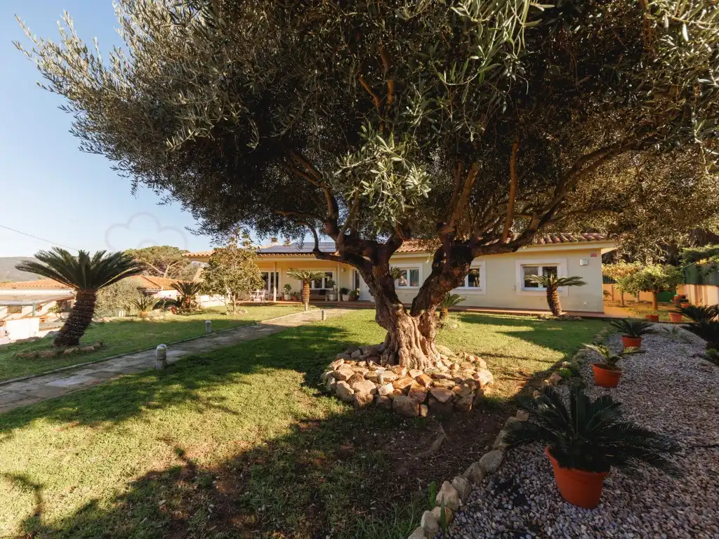 Jardín de Casa o chalet en venta en Santa Cristina d'Aro