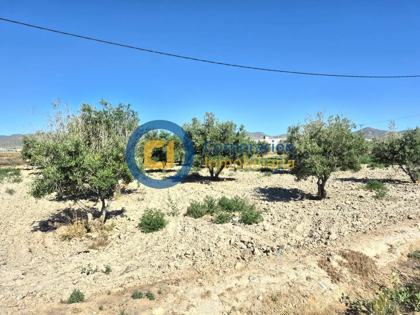 Country house zum Verkauf in Almendricos