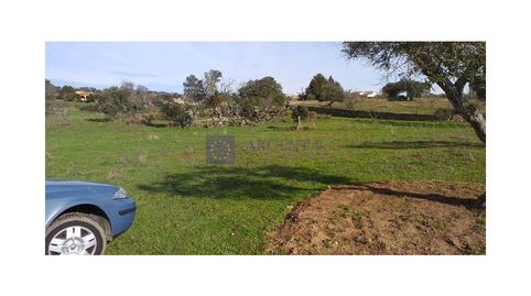 Foto 3 de Finca rústica en venta en N/a, Arroyo de la Luz, Cáceres