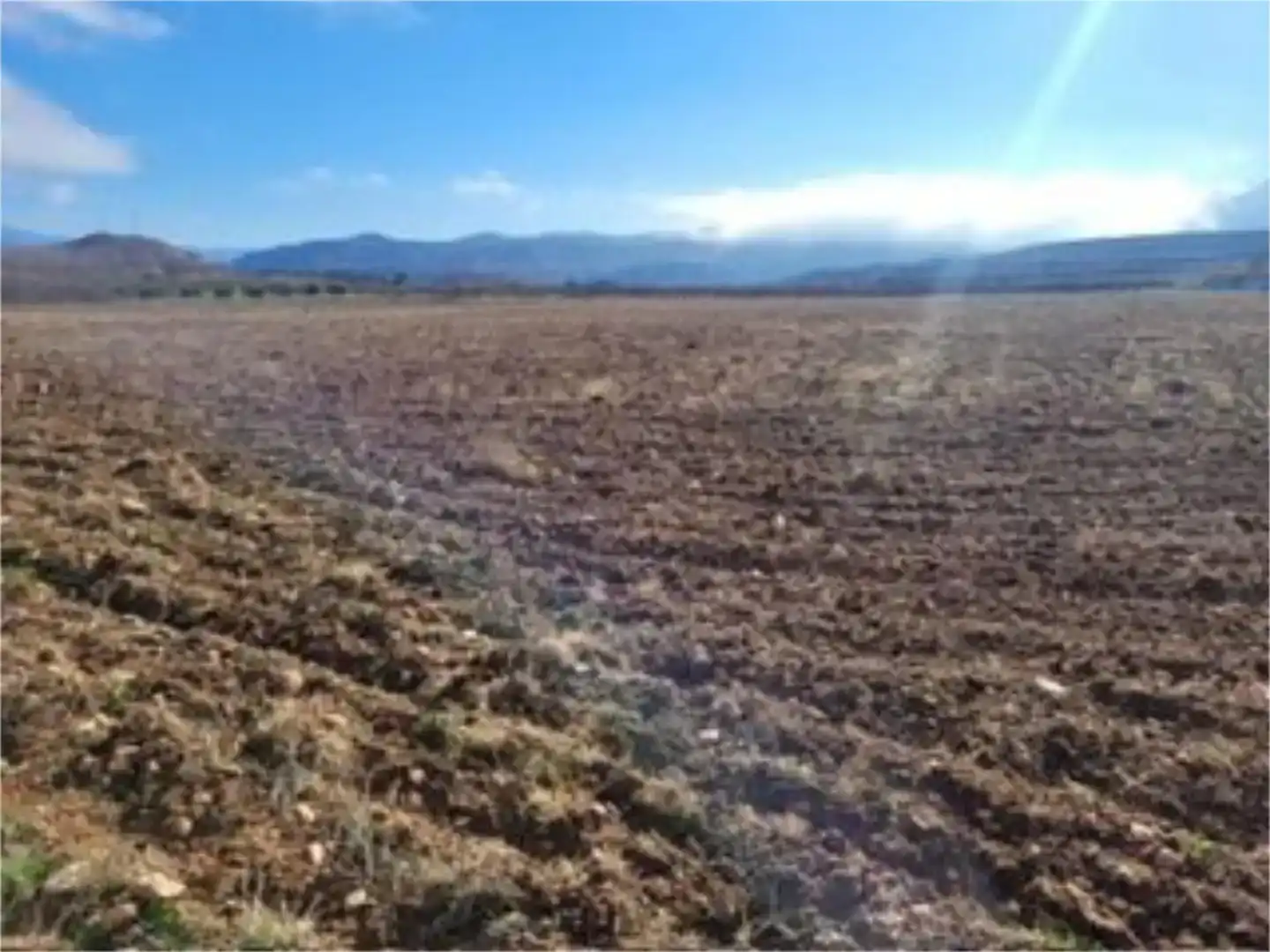 Terreno en venta en Torralba de Ribota
