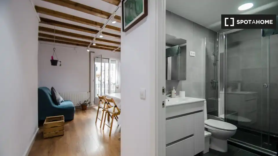 Flat with terrace to rent in Ciutat Vella, imagen 17