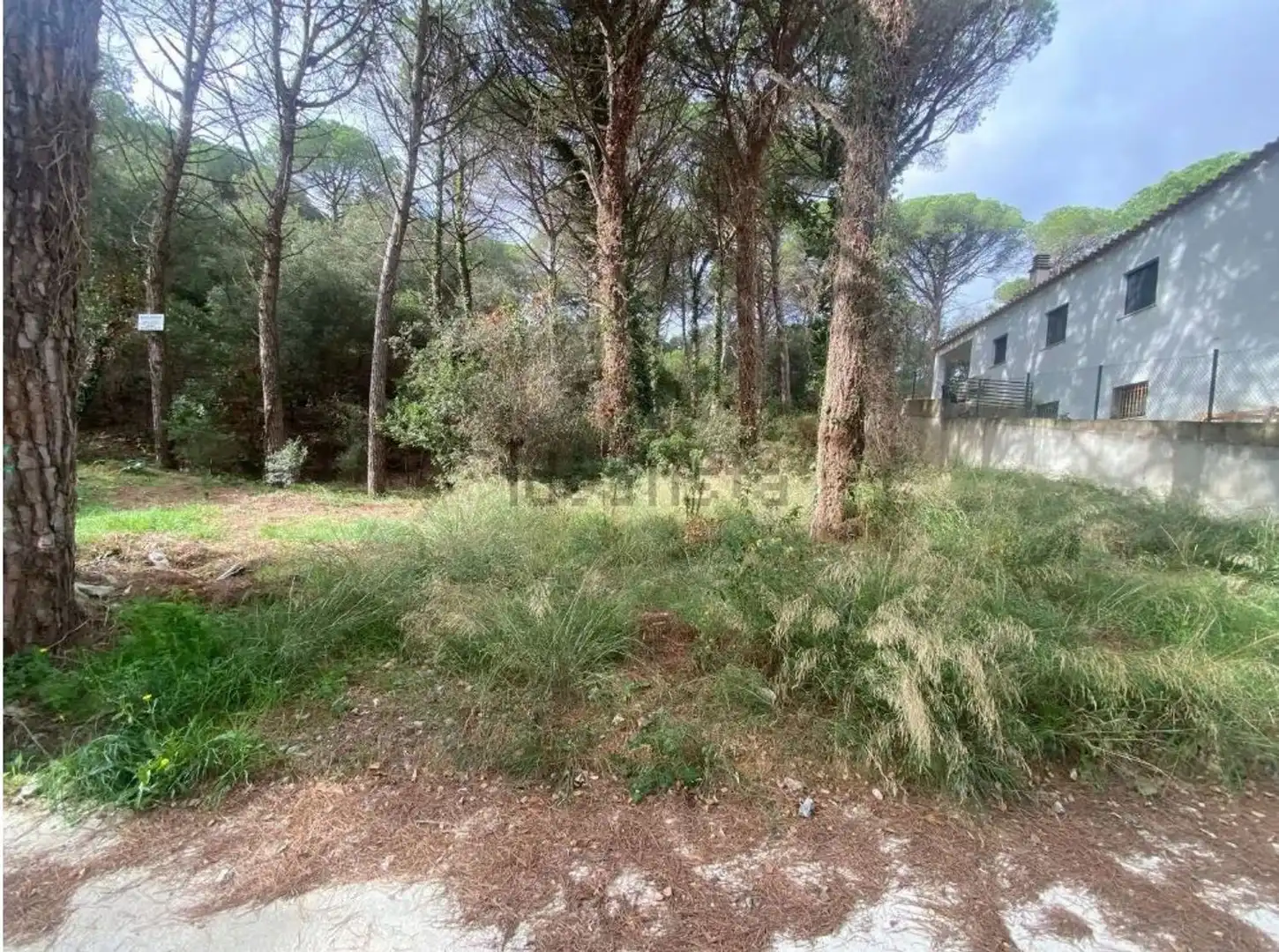 Maison avec piscine à vendre à Mas Pere - Río de Oro, imagen 21