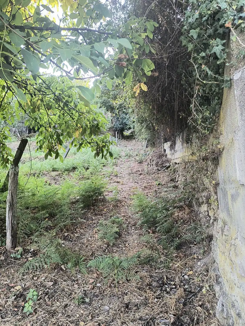 Casa o xalet en venda en Arbo