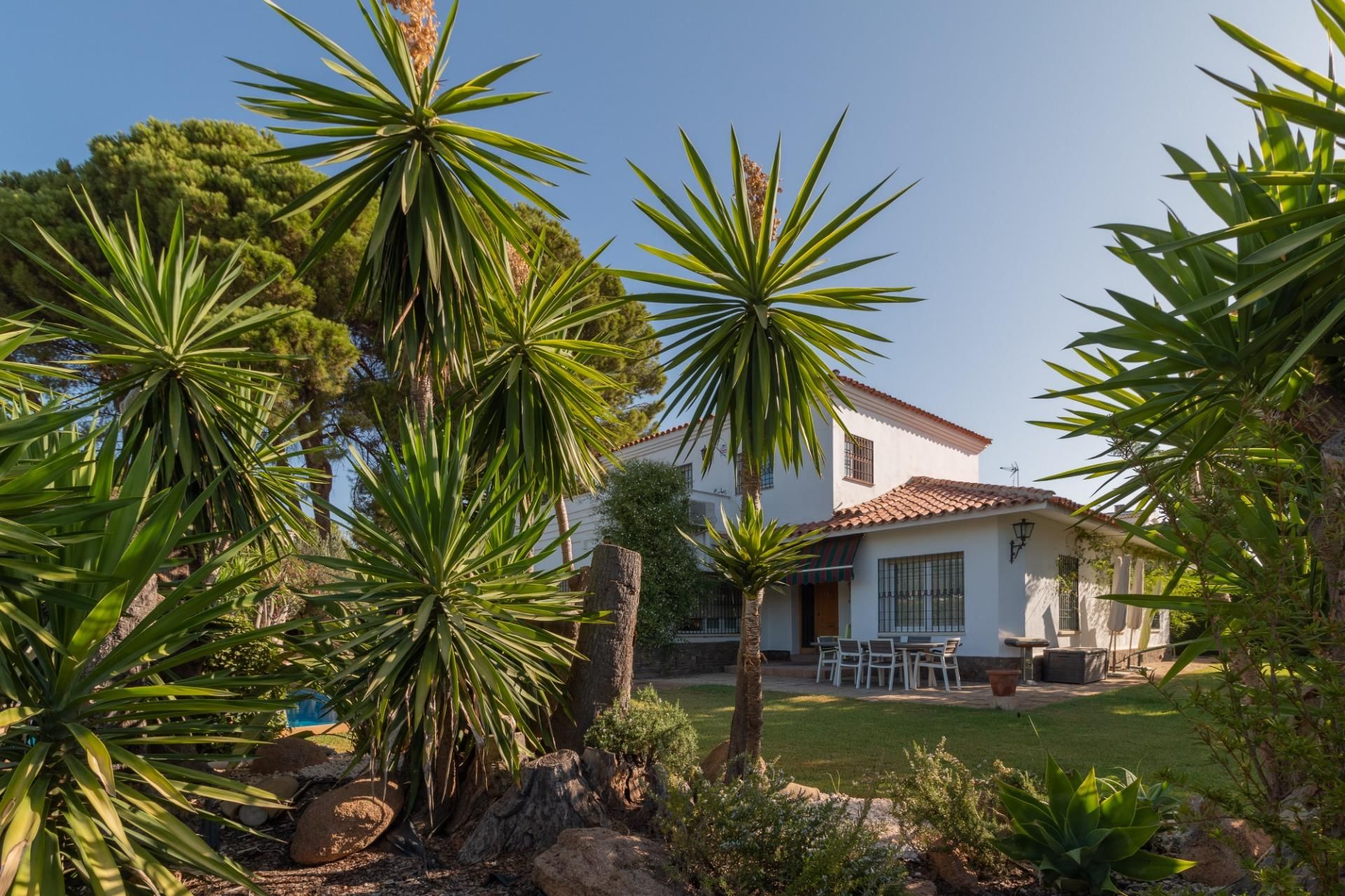 Garden of House or chalet for sale in  Córdoba Capital  with Terrace and Swimming Pool