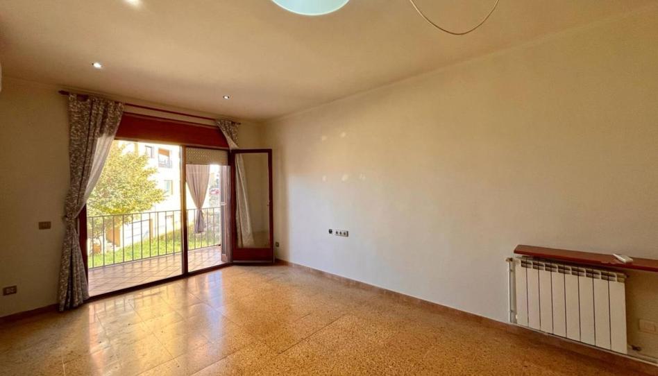 Foto 1 de Pis de lloguer a Vilafranca, Sant Pere de Riudebitlles, Barcelona