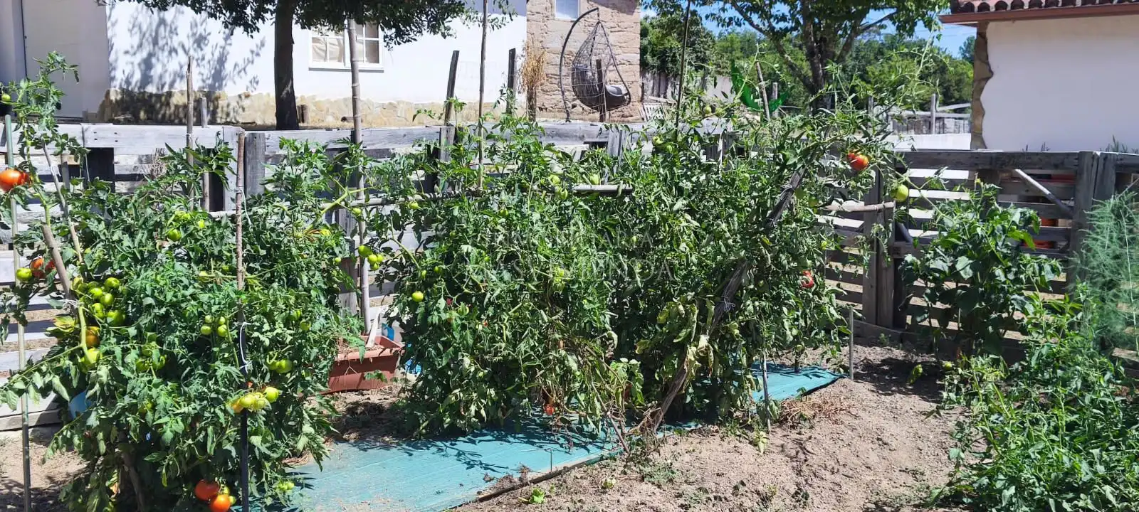 Casa amb jardí en venda a Entenza, imagen 39
