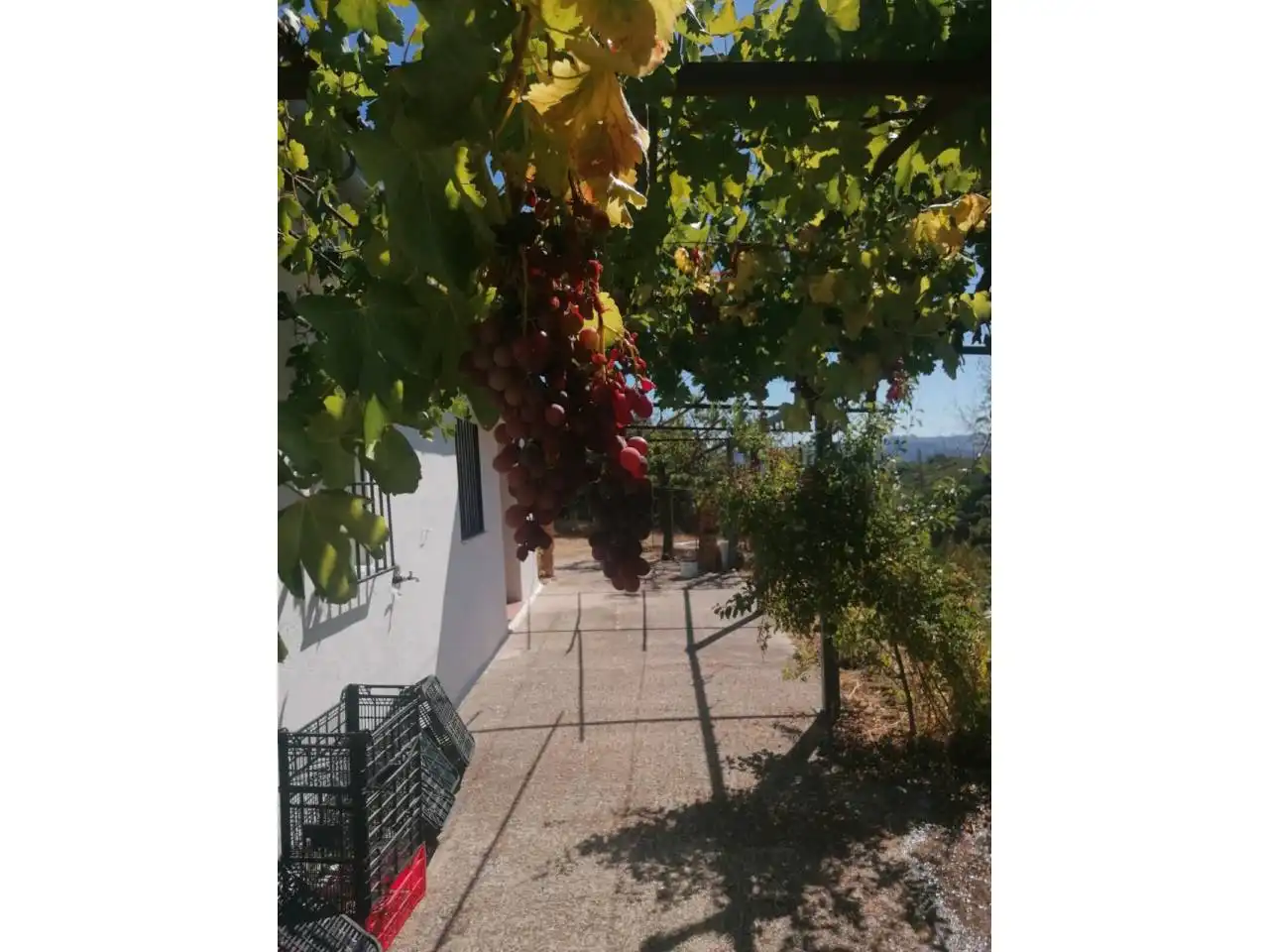 Casa rustica in vendita a Benalauría, imagen 4
