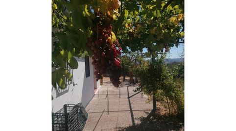 Venta de casa de campo en Portada AltaCamino de Antequera, Málaga Capital, imagen 4