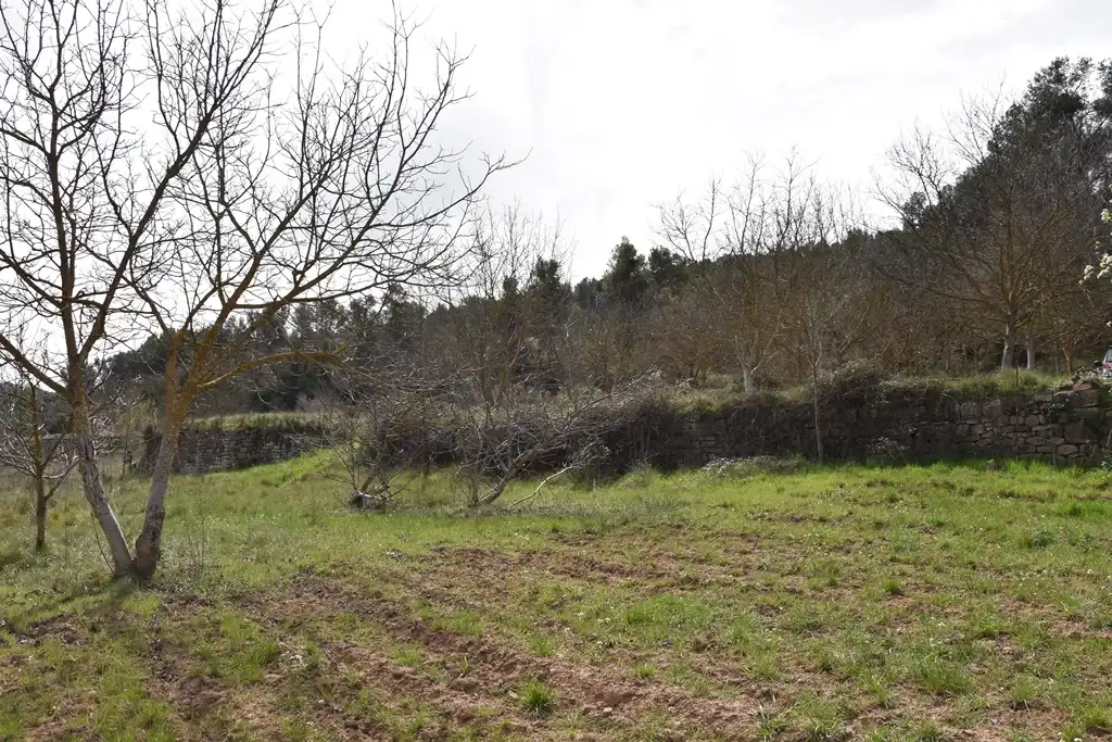 Terreni e lotti in vendita a Arens de Lledó, imagen 2