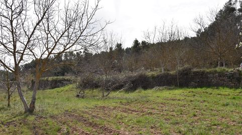 Foto 2 de Terreny en venda a Arens de Lledó, Teruel