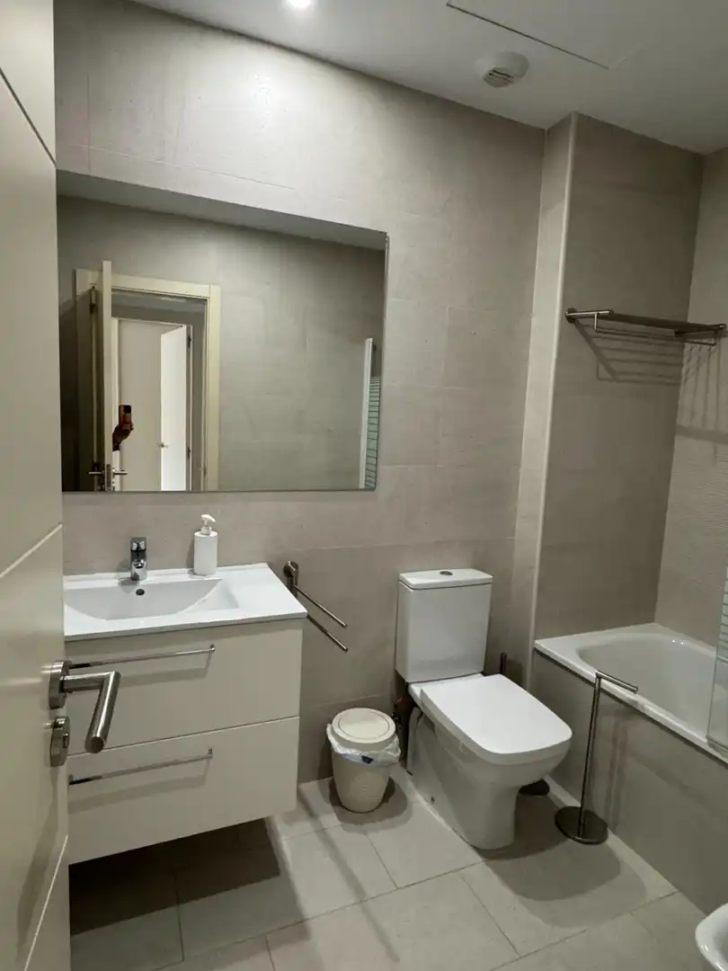Bathroom of Apartments for rent in Málaga  with Air Conditioner, Heating and Furnished