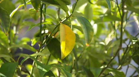 Foto 4 de Casa o xalet en venda a C. de Valencia, Embajadores - Lavapiés, Madrid
