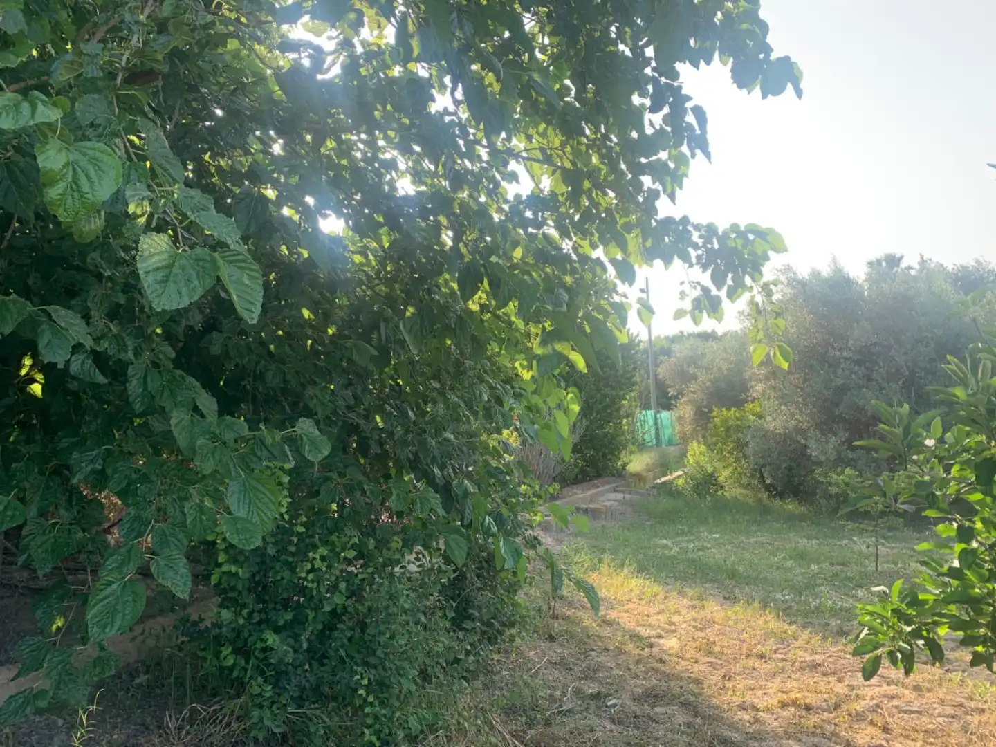 Finca rústica en venda a Alquerías