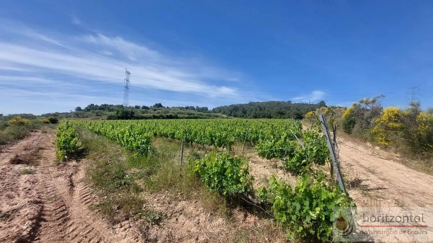 Terrenys i solars en venda a Sant Quintí de Mediona, imagen 13