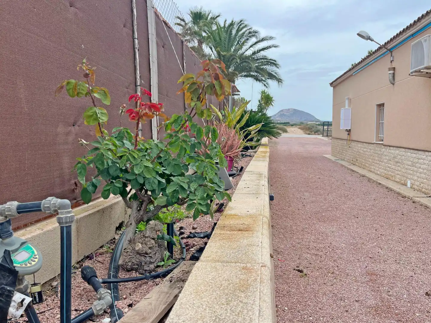 Maison rustique à vendre à Partida CURA GONZALEZ, imagen 31
