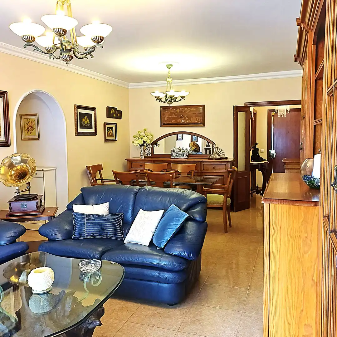 Sala de estar de Piso en venta en Las Palmas de Gran Canaria con Amueblado