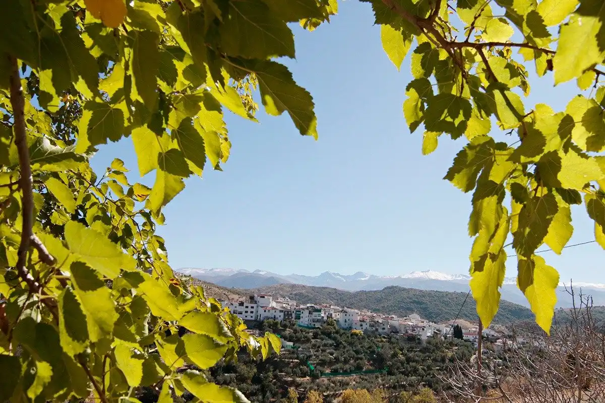 Casa rústica amb terrassa en venda a Calle LAS PIEDRAS, imagen 42