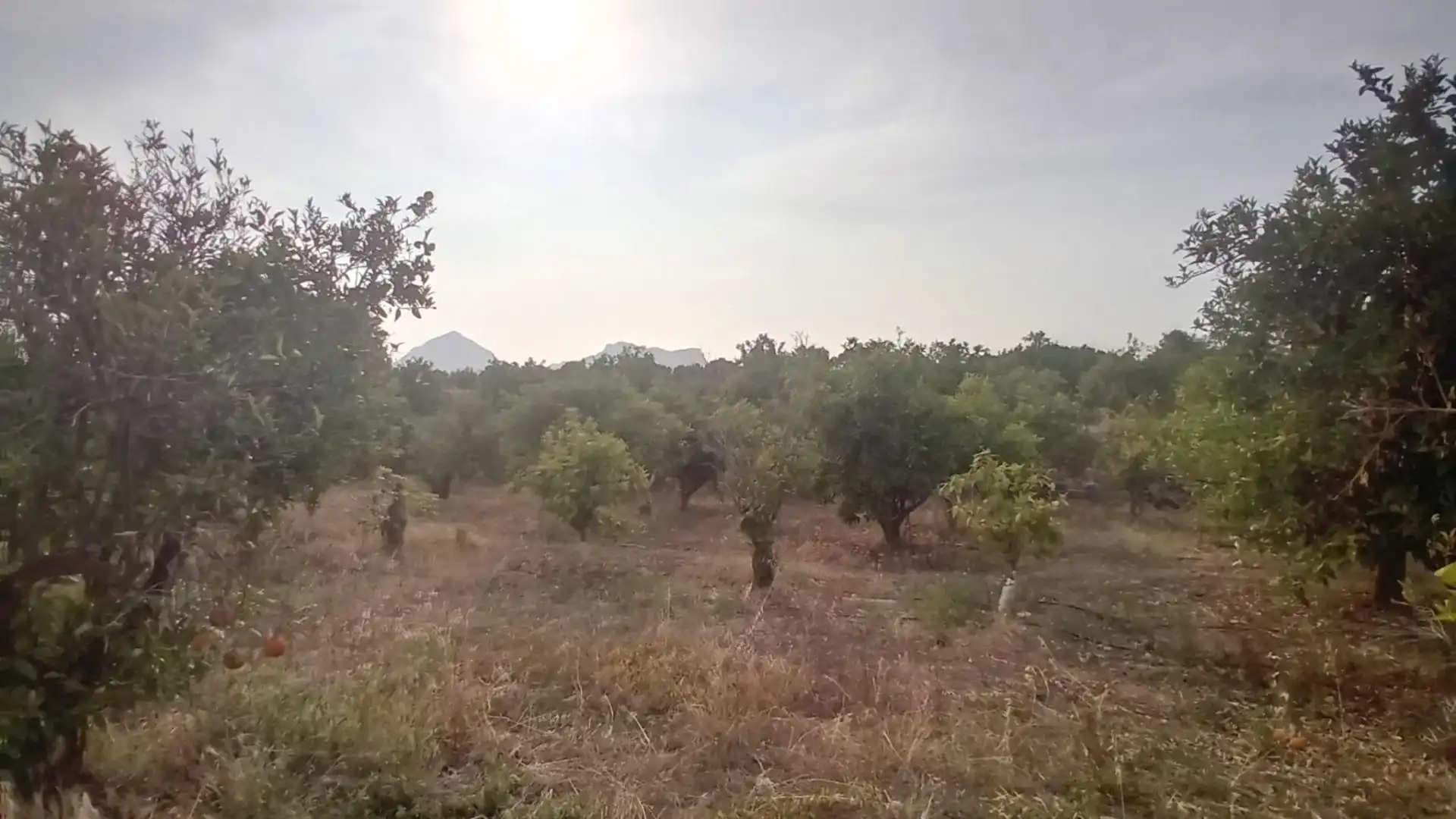Rural land for sale in Altea ciudad, imagen 21