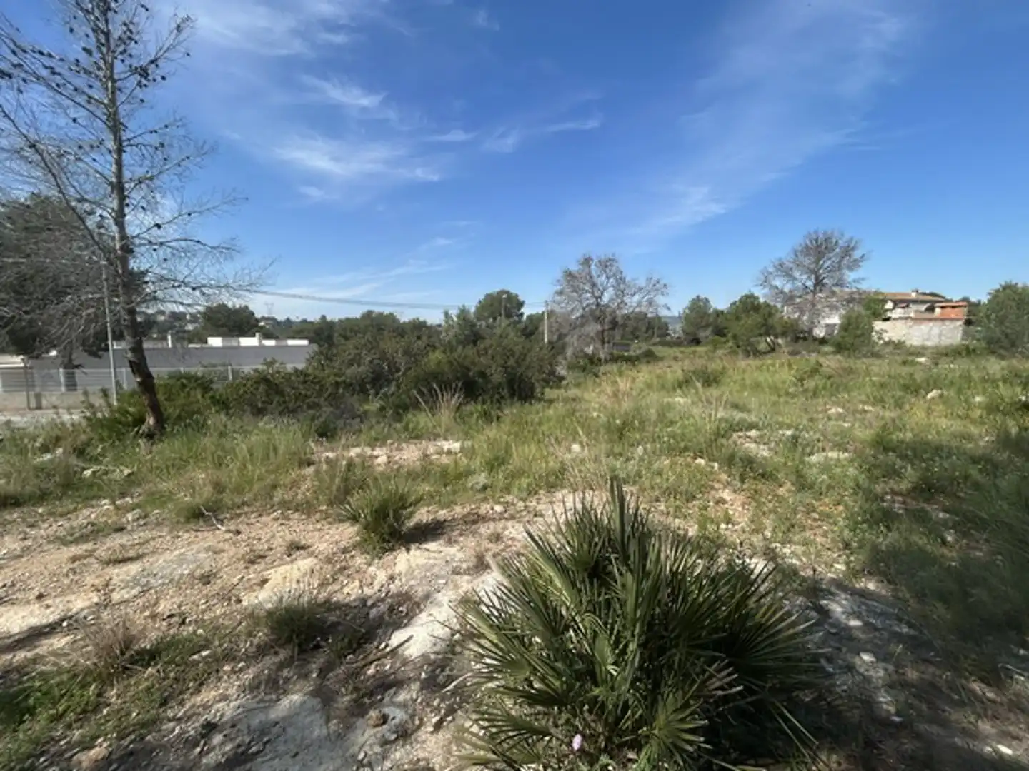 Terreny residencial en venda a Carcaixent, imagen 7