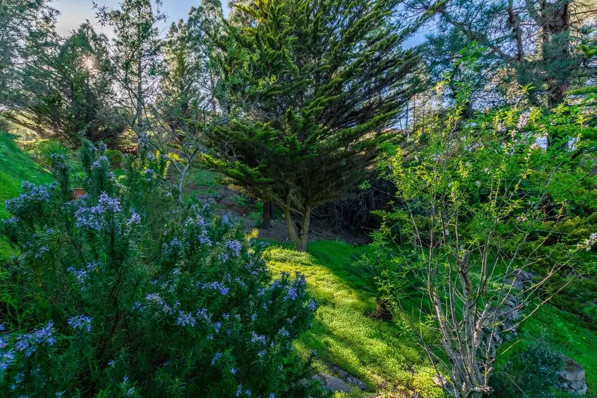 Jardí de Casa o xalet en venda en Telde amb Jardí privat