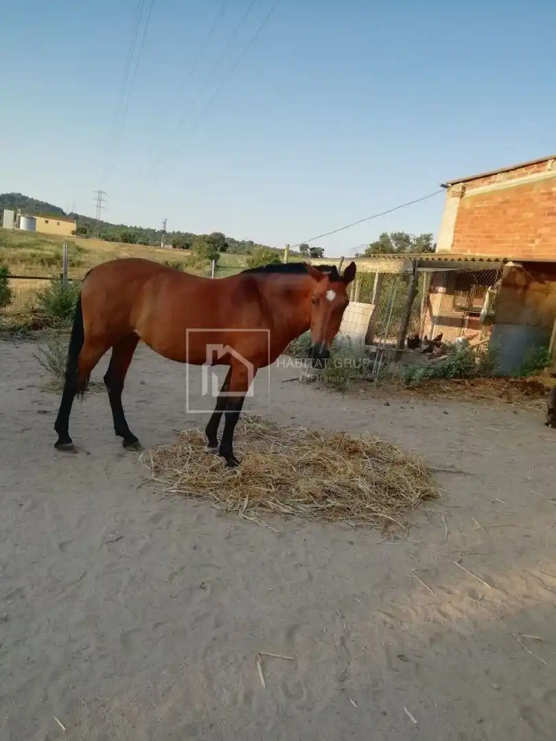 Casa in vendita a Mas Altaba - El Molí, imagen 18